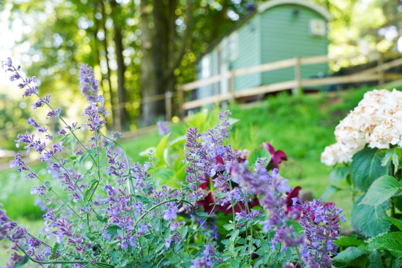 Lavender Retreat With Private Hot Tub Vendégház Upper Hulme Kültér fotó